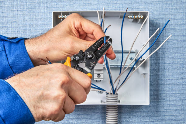 Best Electrical Maintenance Services  in Cedaredge, CO